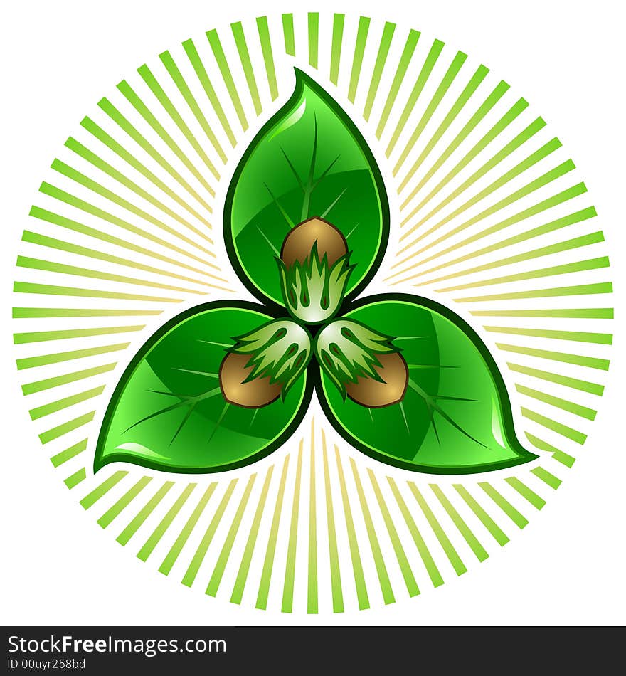 Three nuts and three green leaves on radial beams. Three nuts and three green leaves on radial beams