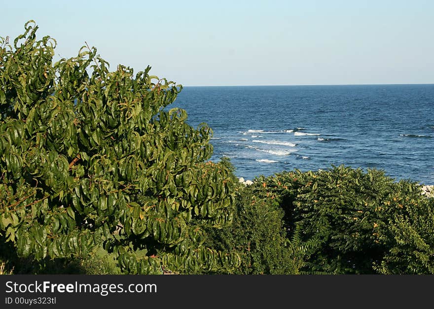 Coast Of Black Sea