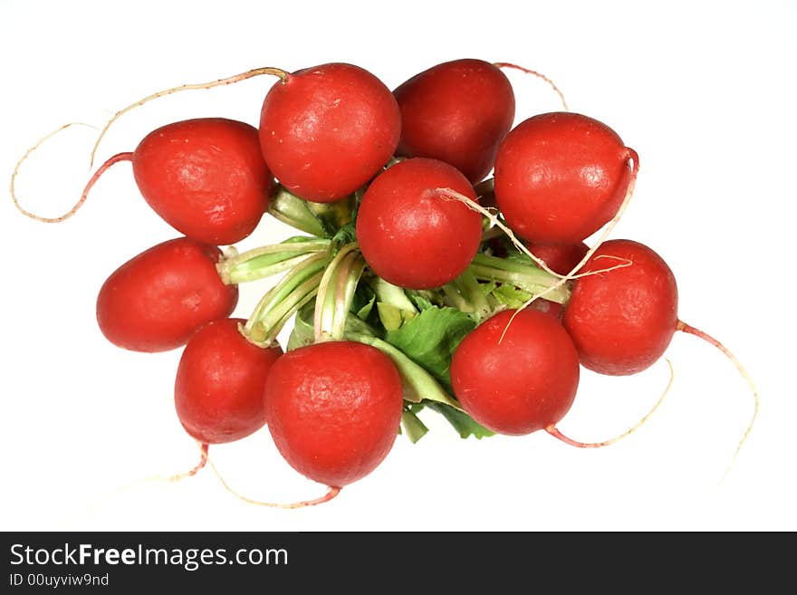 Radish bunch isolated on white background.