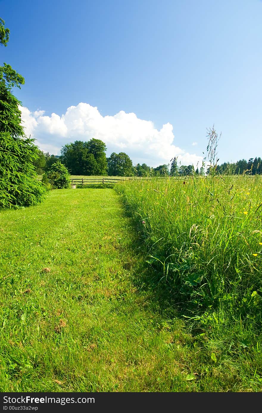 Photo of meadow with fence and blue sky.