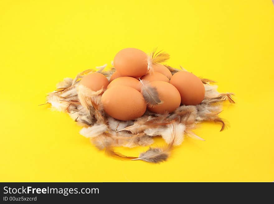 Chickens eggs in nest on feather background