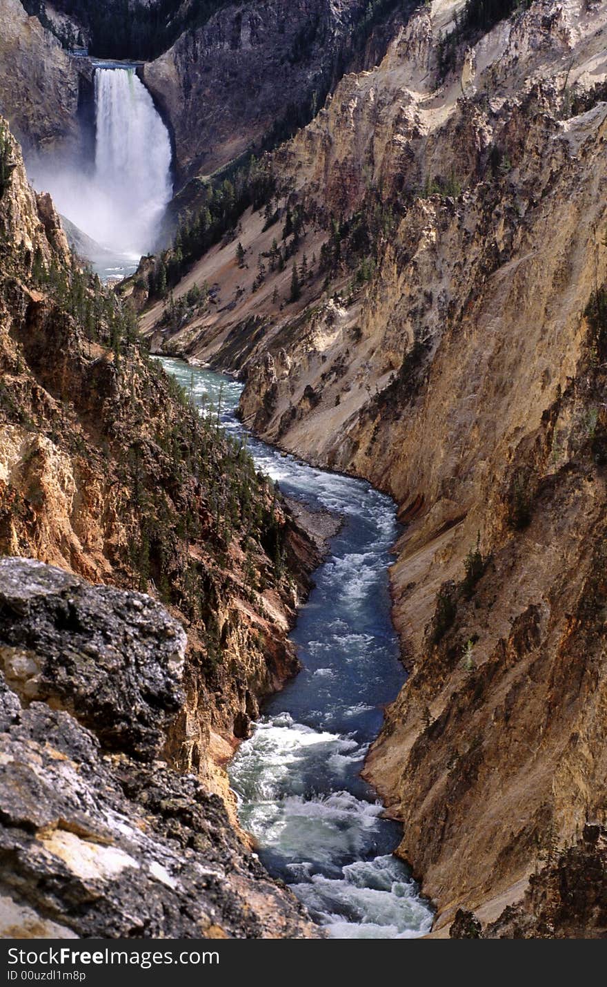 Yellowstone Falls