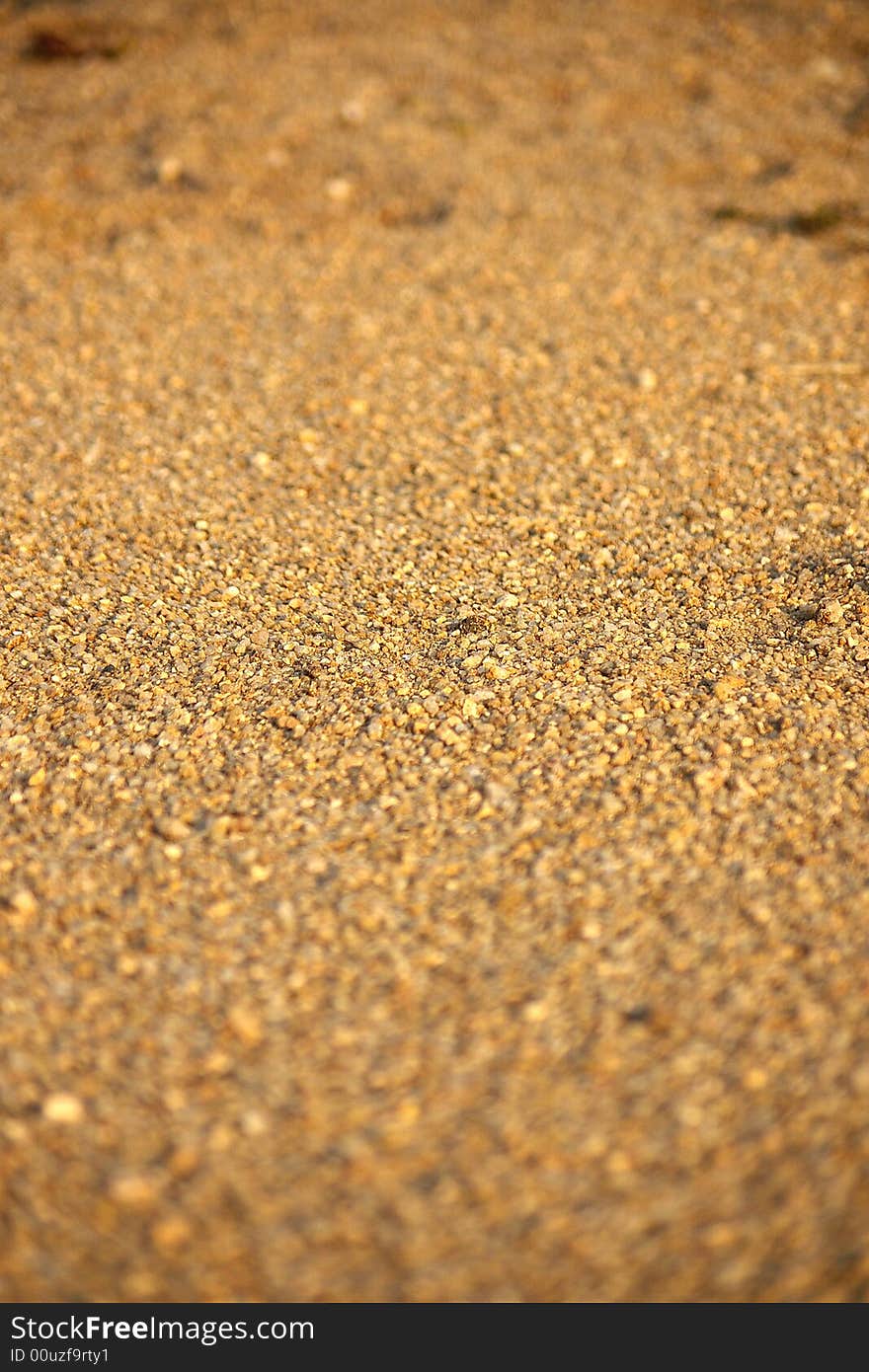 gold sand by the riverside