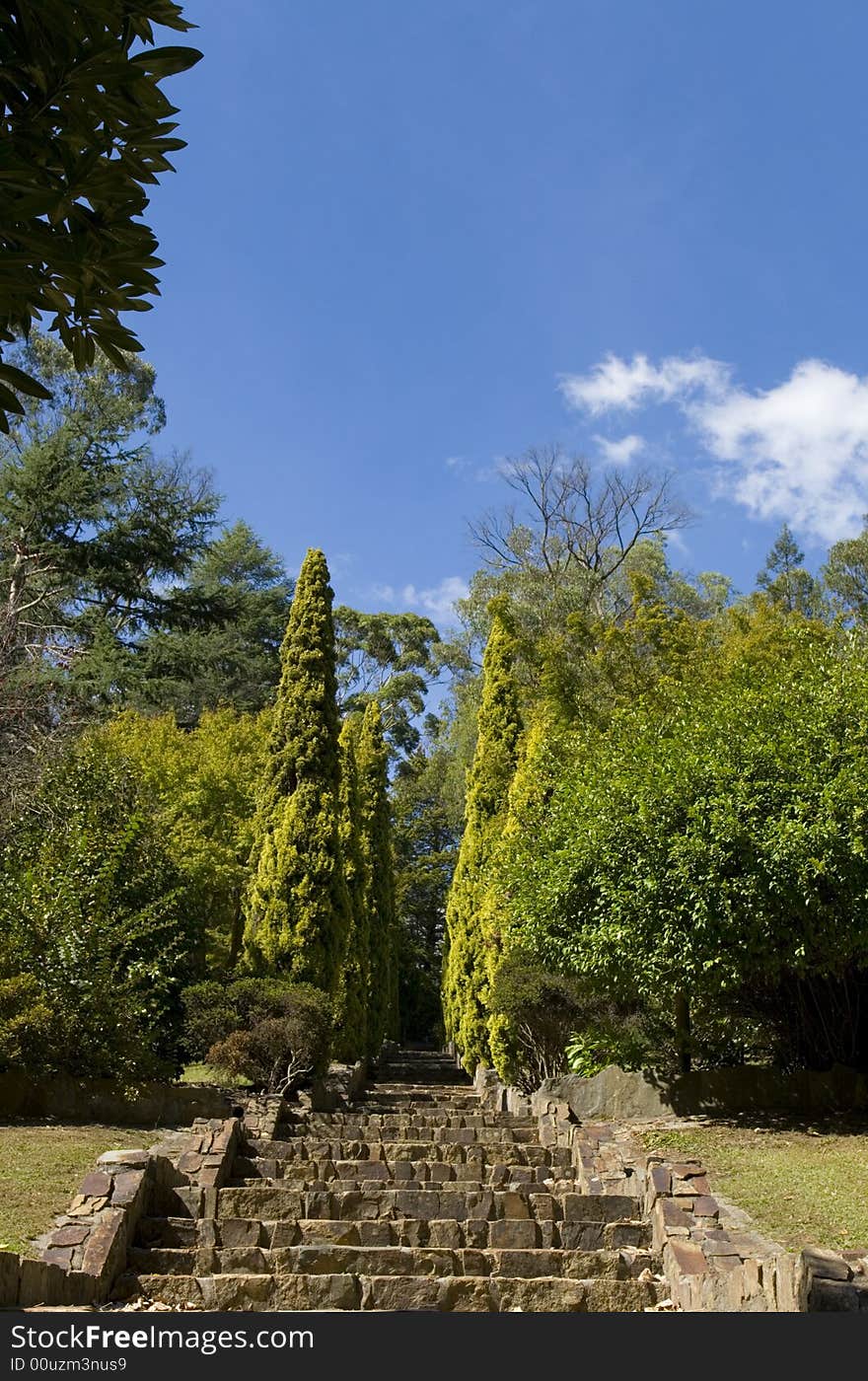 Stone stairway in park