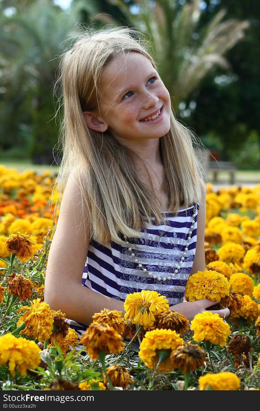 A white caucasian girl child sitting amongst yellow flowers. A white caucasian girl child sitting amongst yellow flowers