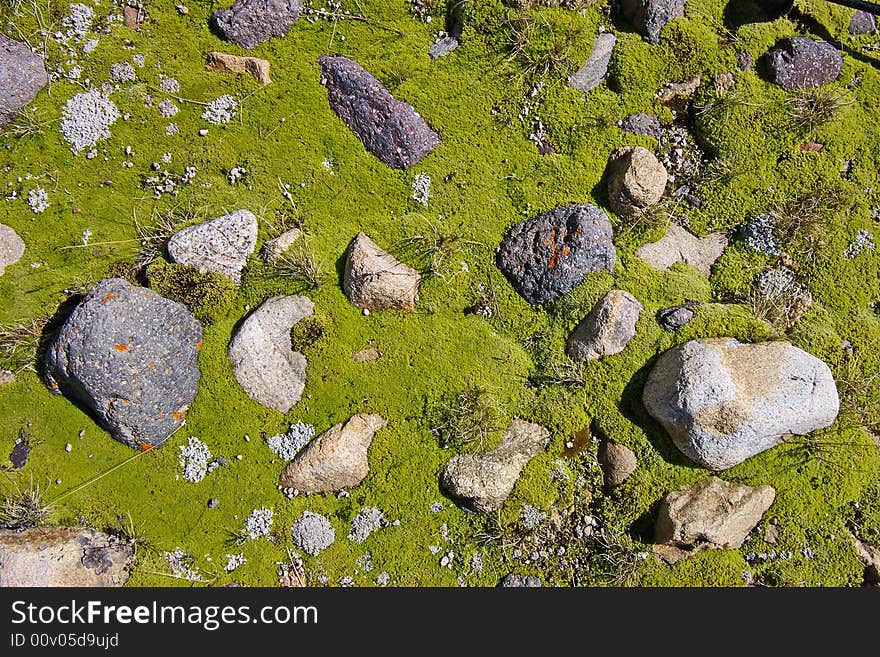 Grey stones covered by a lichen lays on a green moss. Grey stones covered by a lichen lays on a green moss.