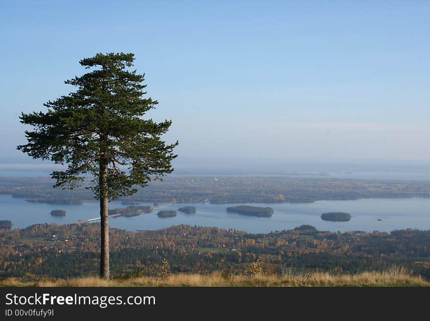 Silijansea sweden dalarna in october. Silijansea sweden dalarna in october