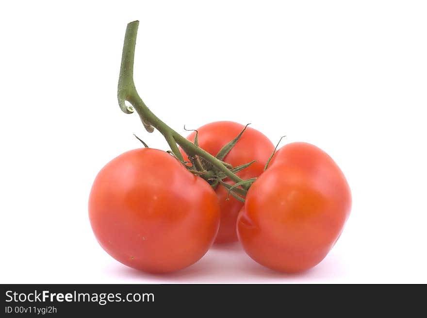 Three full red tomatoes on a branch.