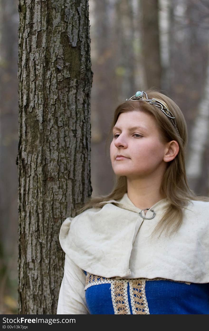 Portrait of the romantic girl in autumn forest. Portrait of the romantic girl in autumn forest