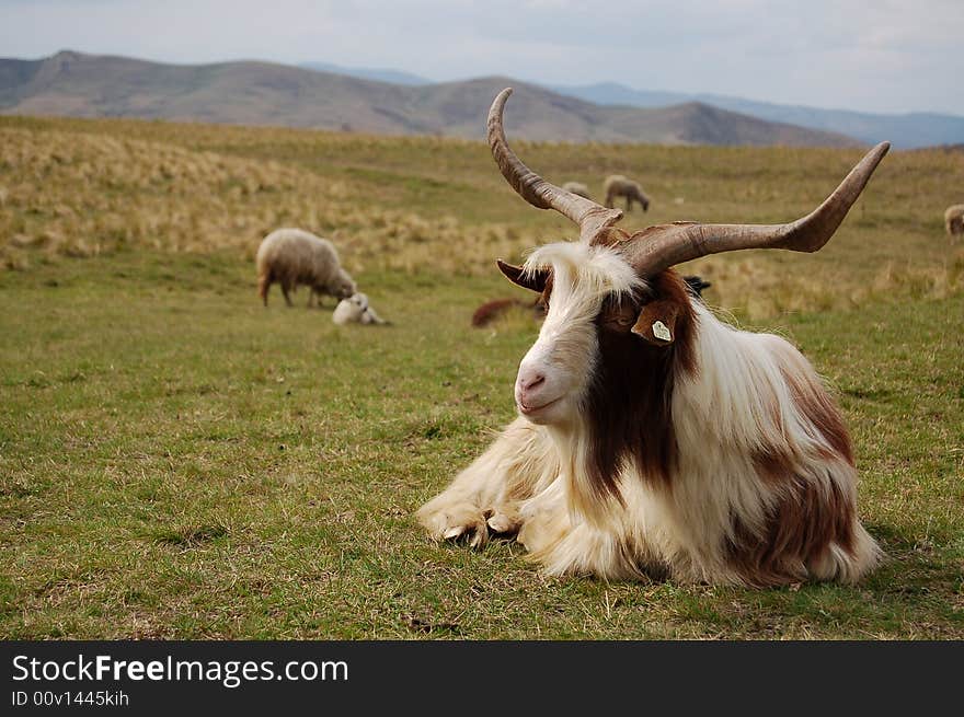 Traditional romanian country-side lansdscape. Traditional romanian country-side lansdscape