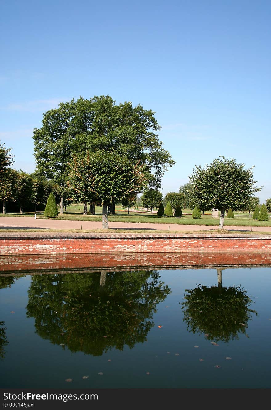 Two trees are reflected in the calm pond