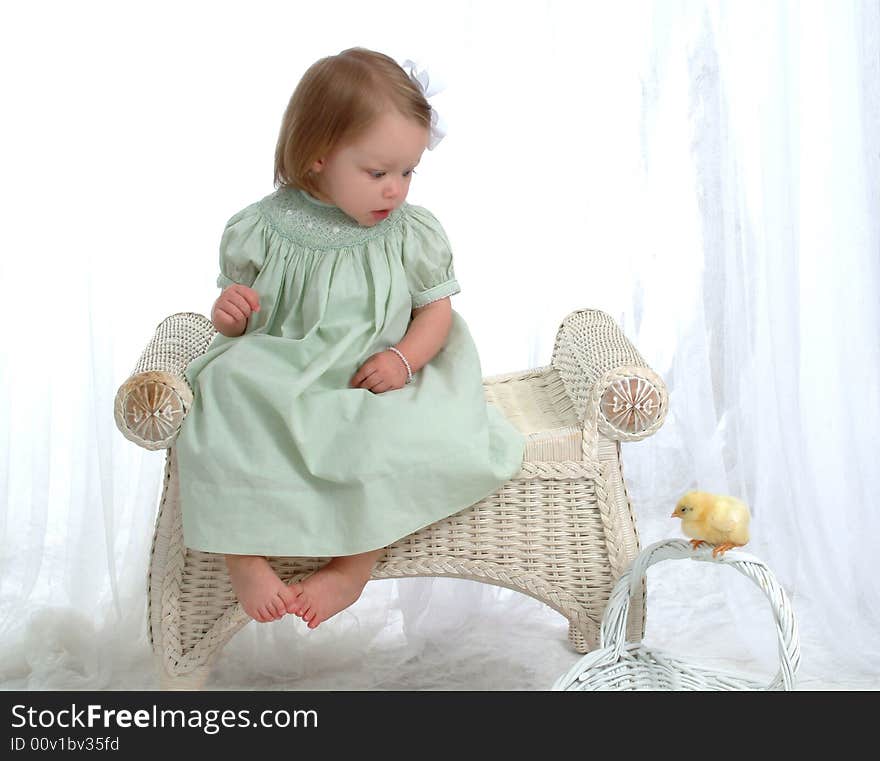 Baby girl on wicker bench looking at chick perched on basket in front of white background. Baby girl on wicker bench looking at chick perched on basket in front of white background