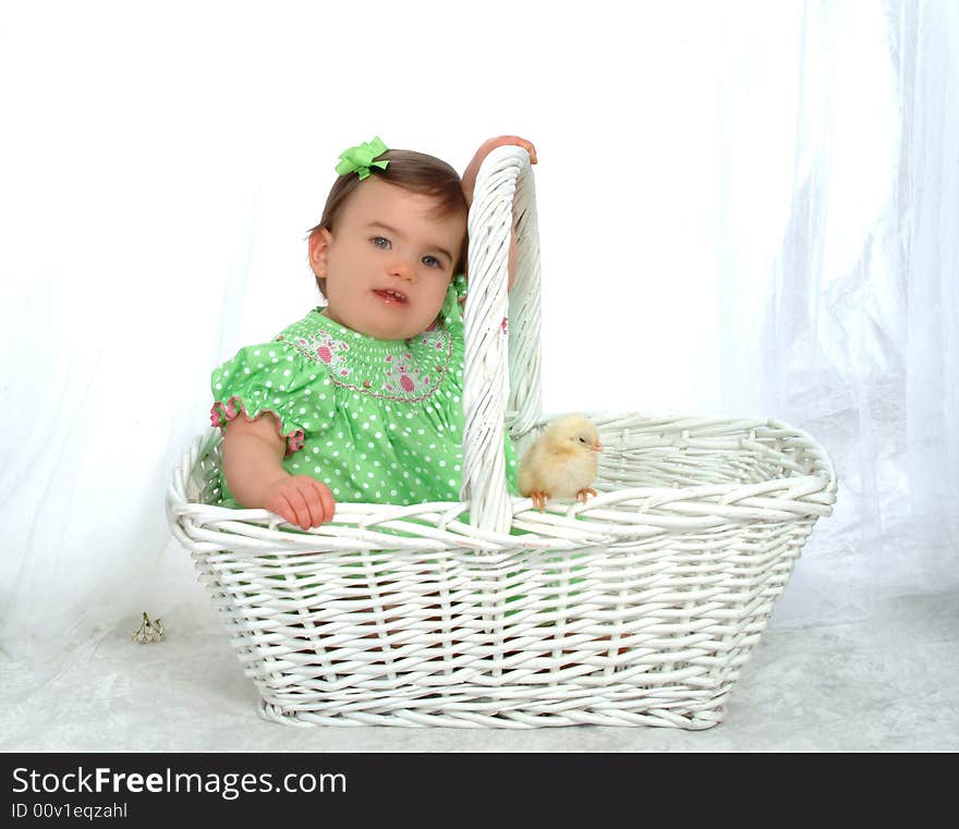 Baby girl in wicker basket looking at camera with chick perched on basket in front of white background. Baby girl in wicker basket looking at camera with chick perched on basket in front of white background