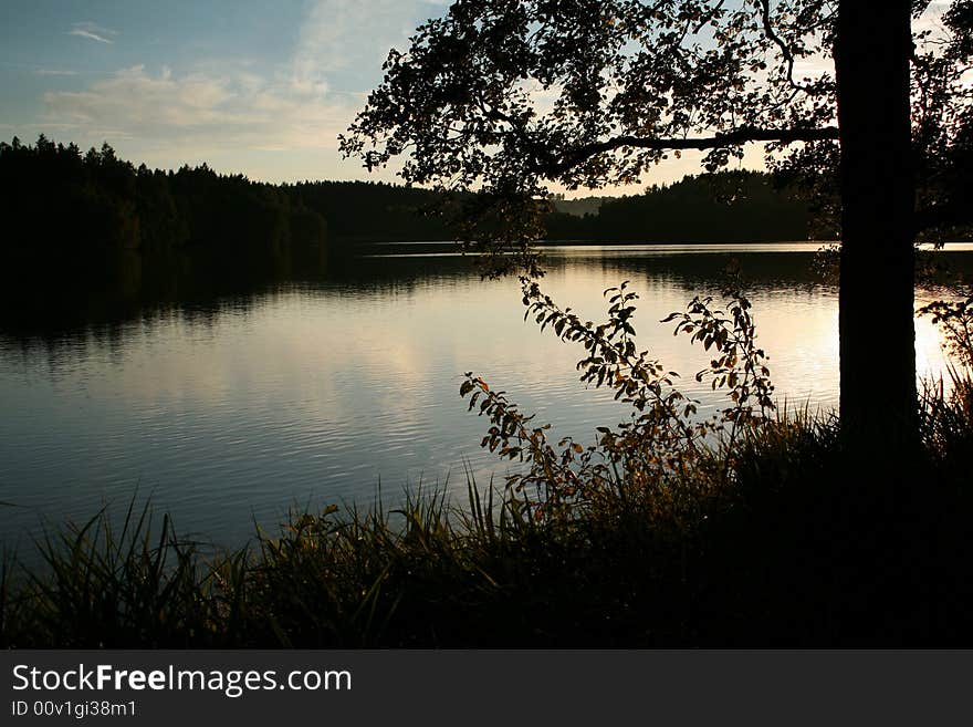 Lake in forest, silhouette of a tree
peaceful scene. Lake in forest, silhouette of a tree
peaceful scene