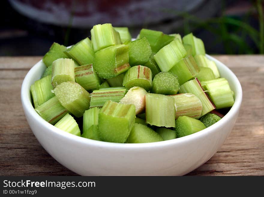 China Rhubarb Rheum officinale  with big leaves