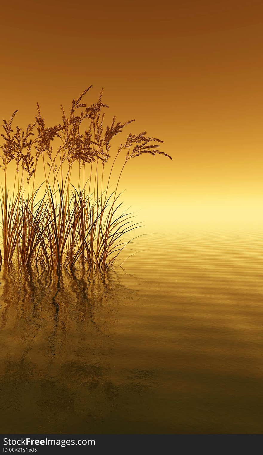 Water plants on a sea sunset  background  -  3D scene. Water plants on a sea sunset  background  -  3D scene.