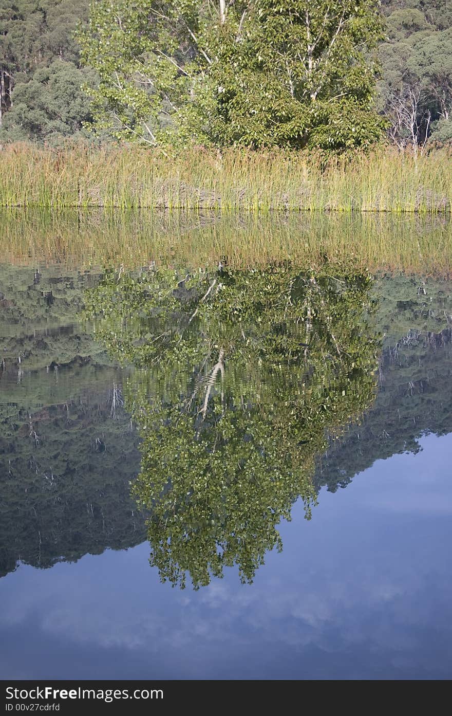 Landscape reflected on still lake. Landscape reflected on still lake