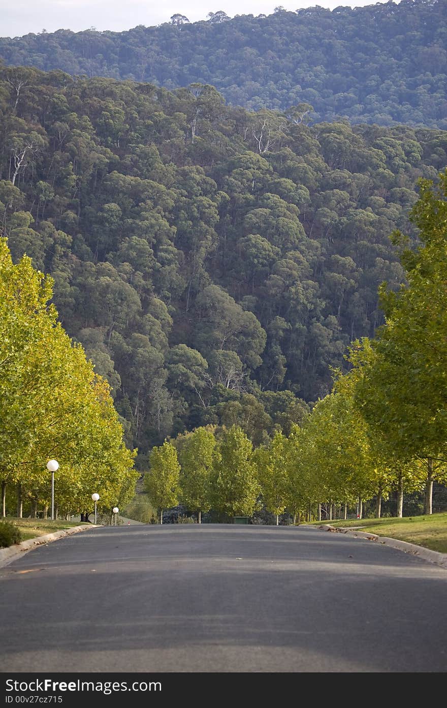 Road Over Hill