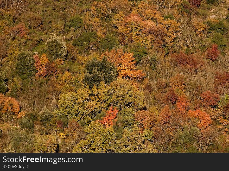 Nature colors