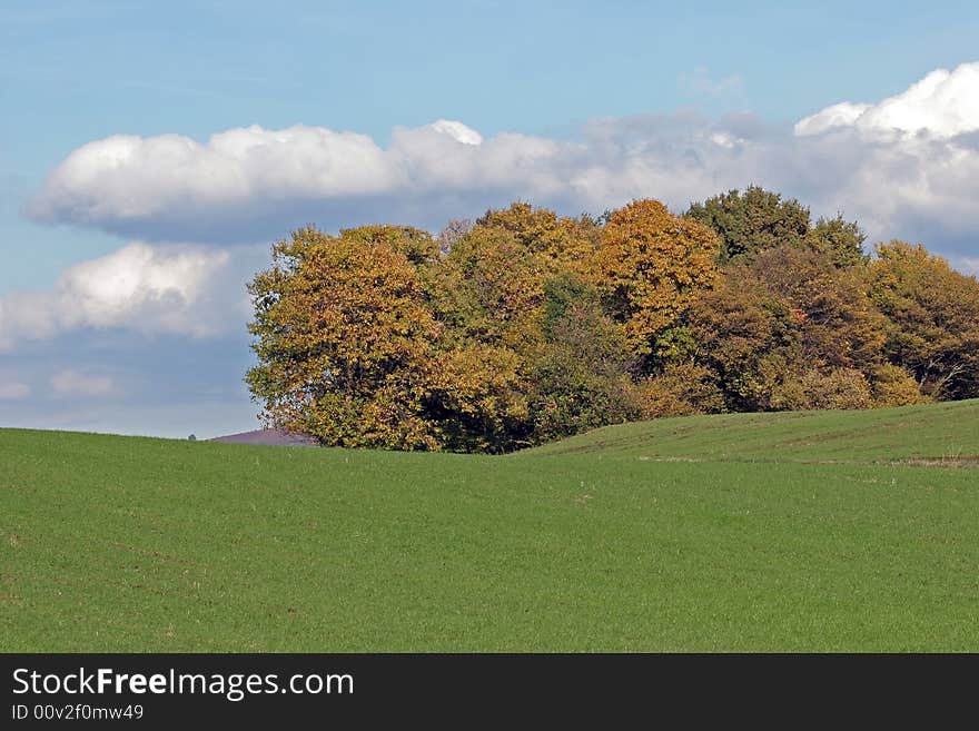 Nature Colors