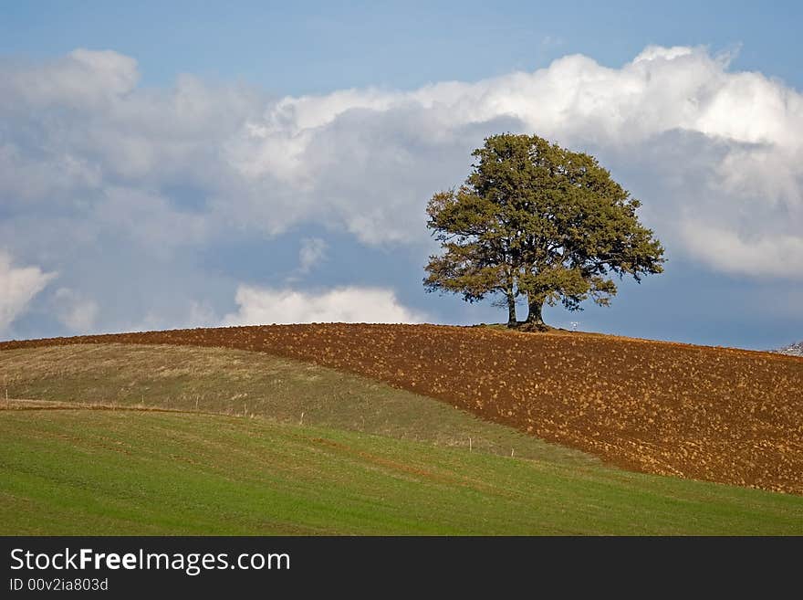 A picture of beautiful fields in the italy. A picture of beautiful fields in the italy