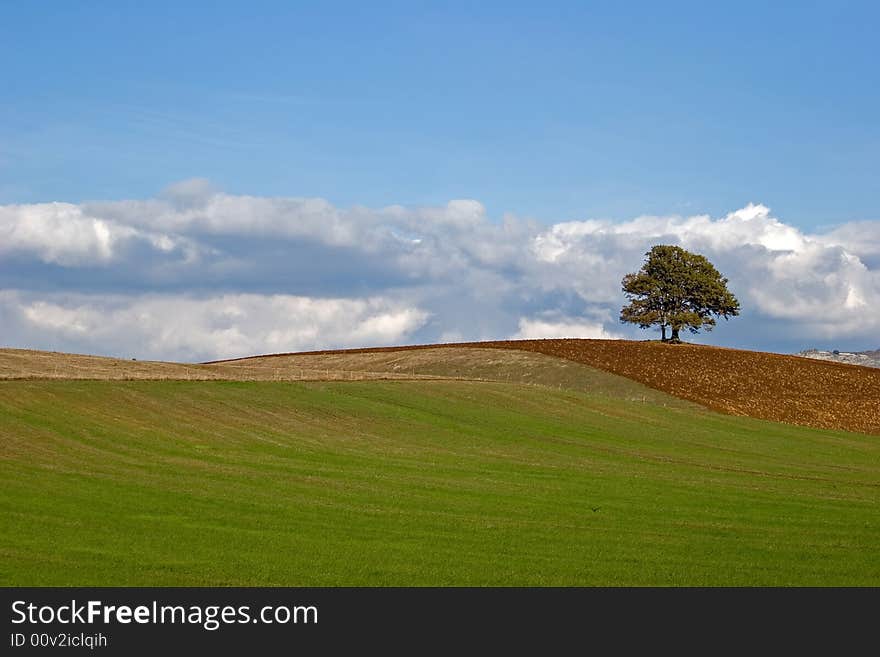 A picture of beautiful fields in the italy. A picture of beautiful fields in the italy