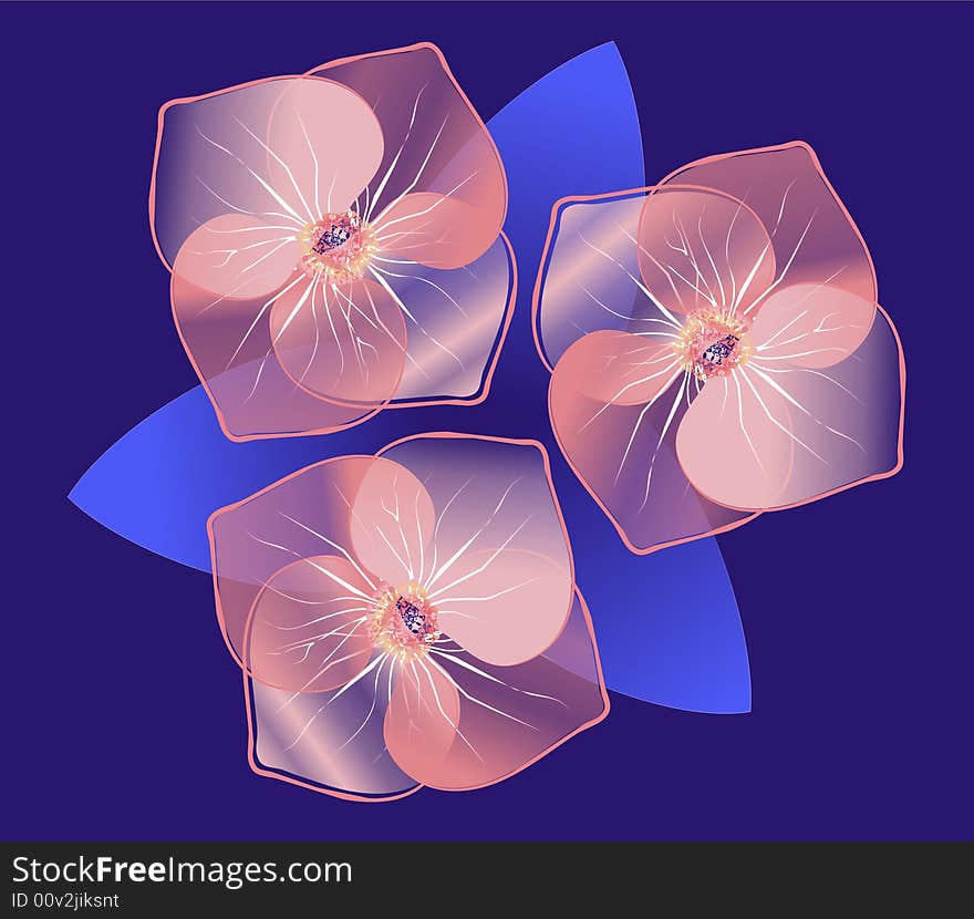 Beautiful abstract flowers,  illustration. Beautiful abstract flowers,  illustration