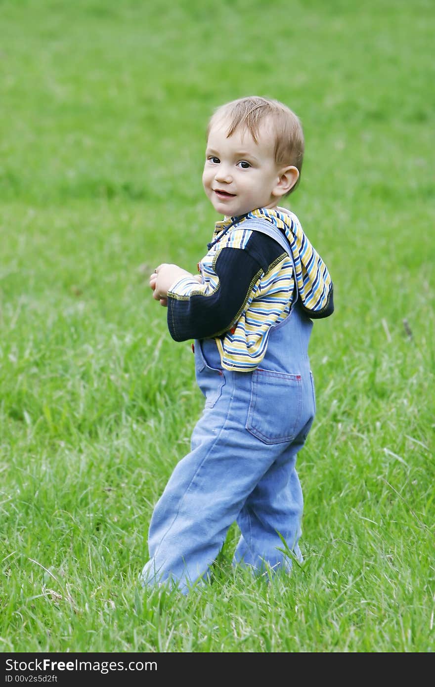 Cute baby boy on grass background