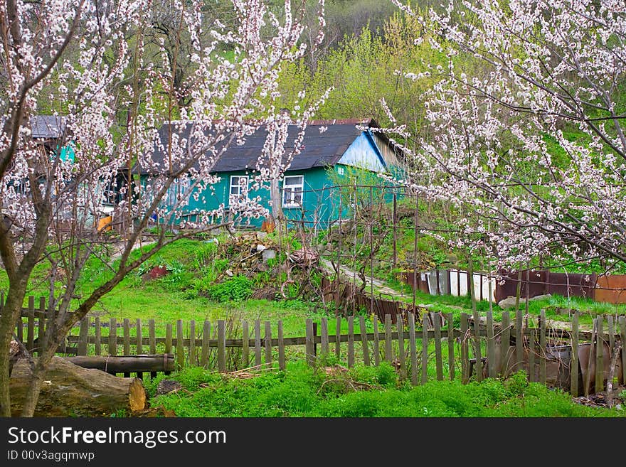 Old rural house