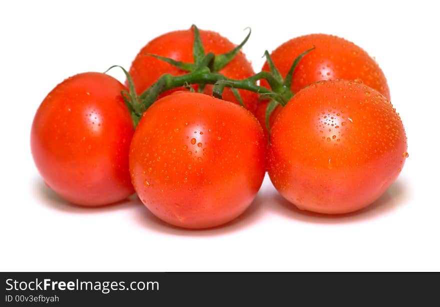 The perfect juicy tomatoes covered by drops of water, on a green branch. Isolation on white. Shallow DOF.