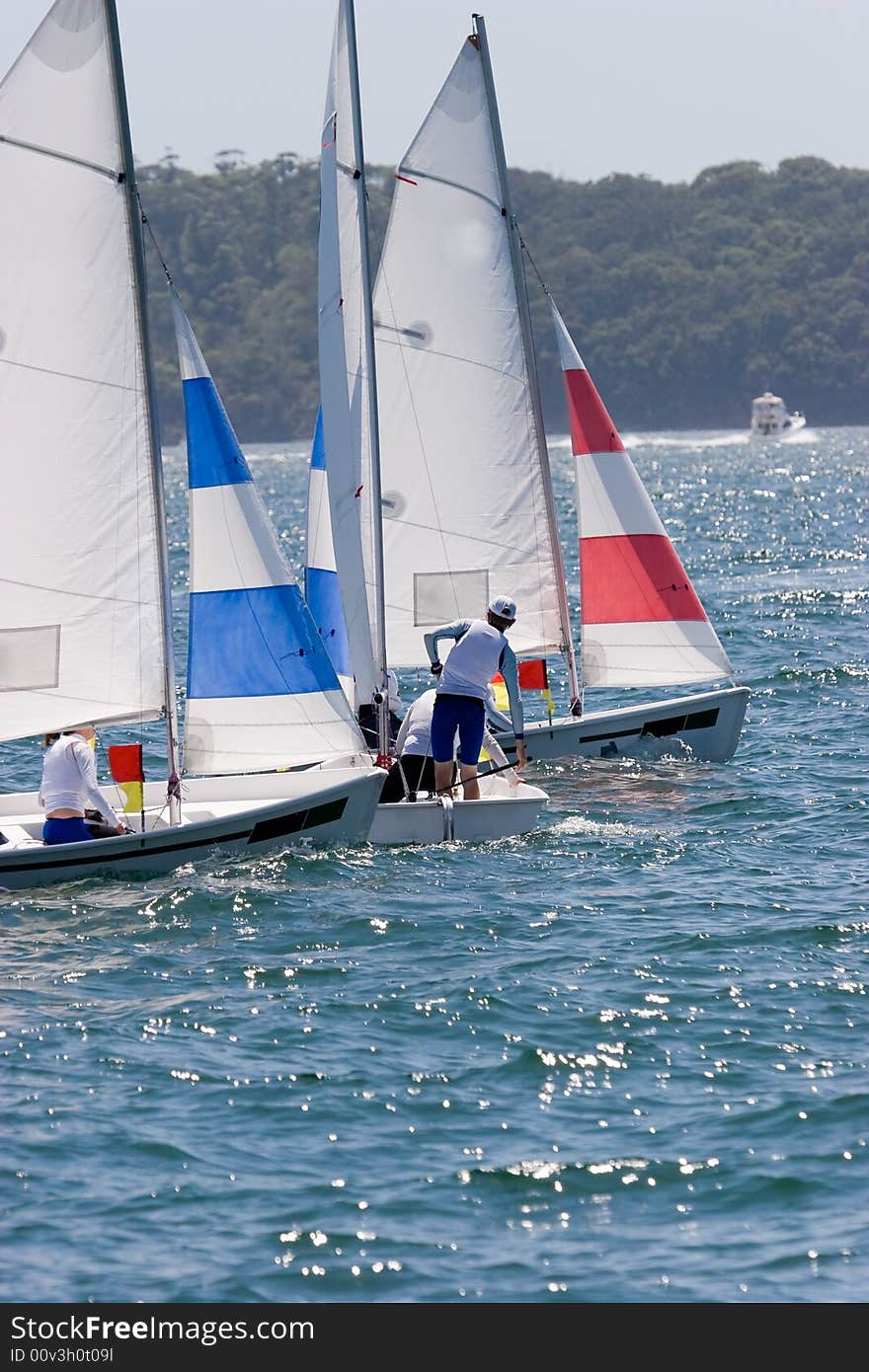 A number of sail boats coming together on Sydney Harbour. A number of sail boats coming together on Sydney Harbour