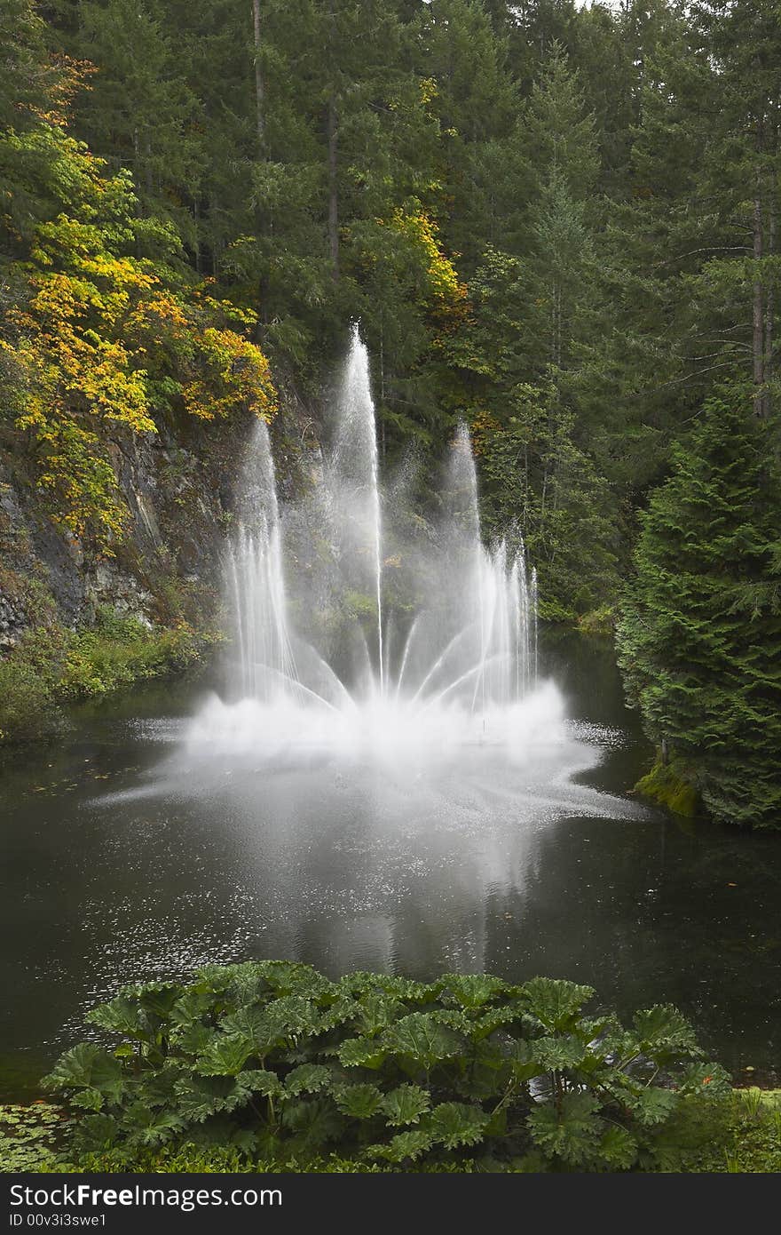 In a wood, at lake the fountain of phenomenal beauty functions. In a wood, at lake the fountain of phenomenal beauty functions