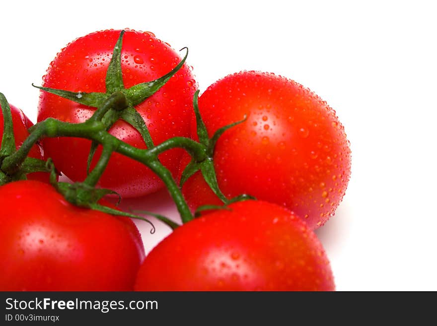 The perfect juicy tomatoes covered by drops of water, on a green branch. Isolation on white. Shallow DOF. The perfect juicy tomatoes covered by drops of water, on a green branch. Isolation on white. Shallow DOF.