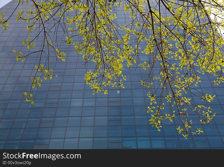 An office building with  spring glass facade.