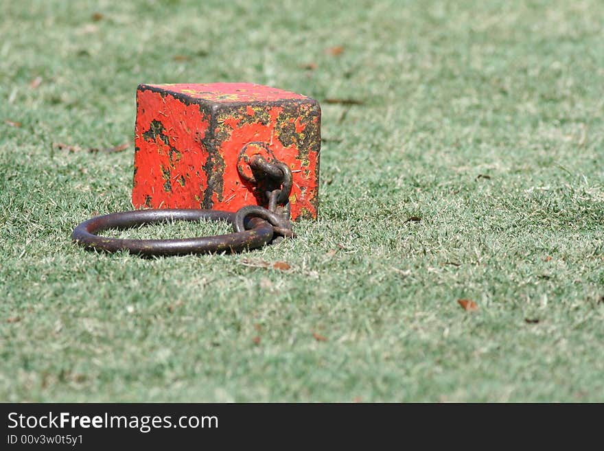 Dunedin Highland Games 2008