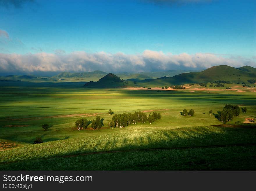 Green spring field in the morning. Green spring field in the morning.