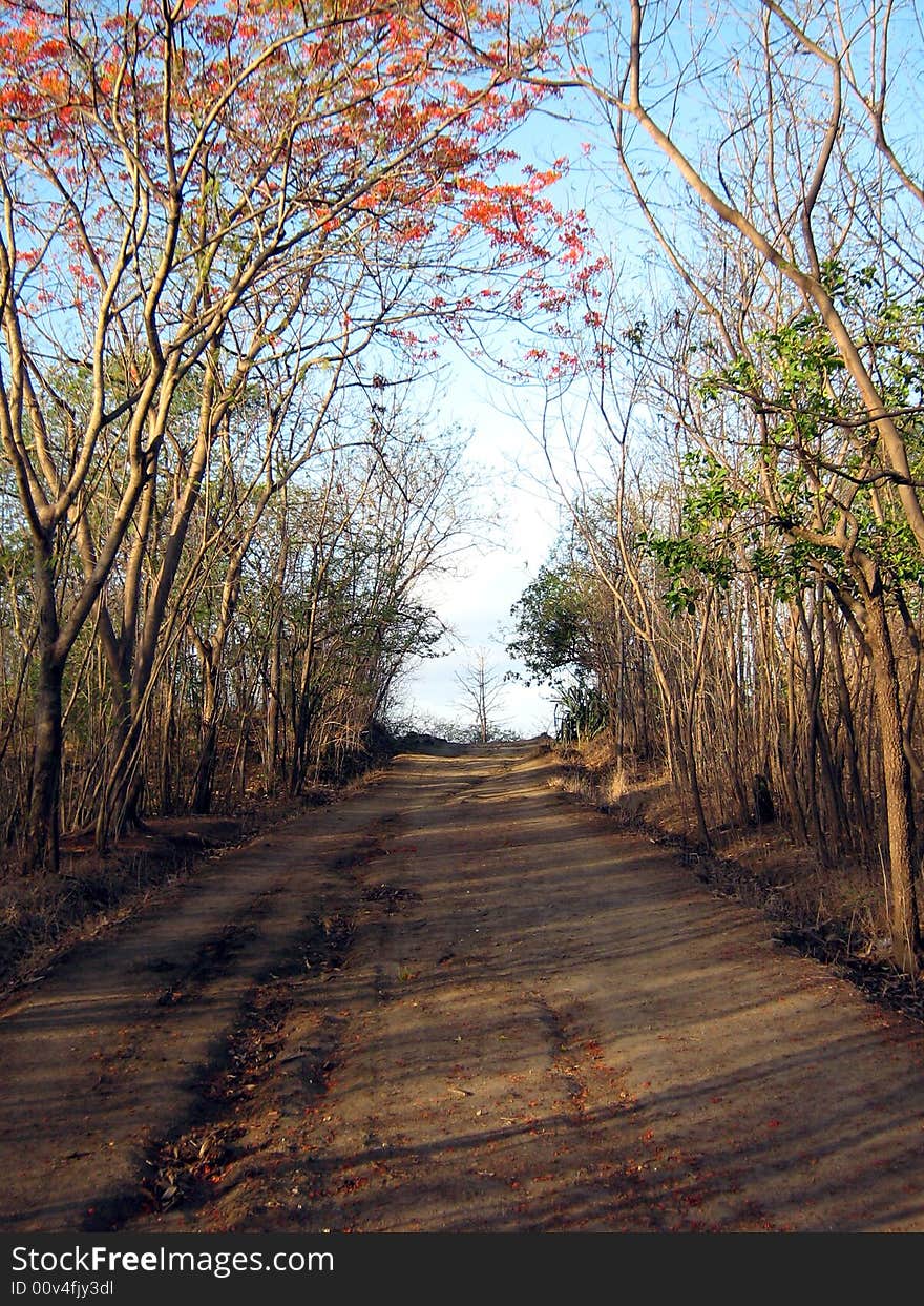 Walking The Path