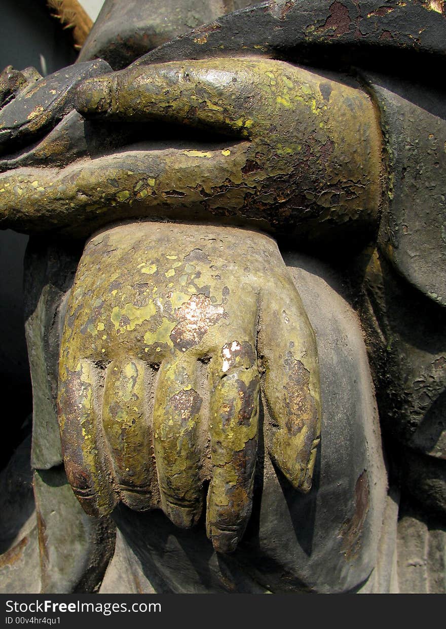 Close-up of  buddha hand