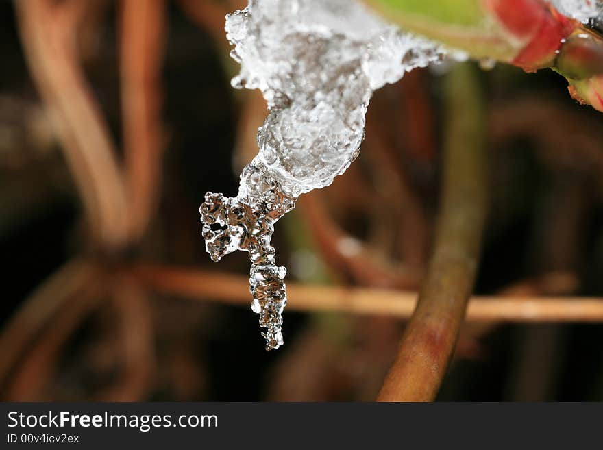 Closeup of ice from a spring snowstorm. Closeup of ice from a spring snowstorm