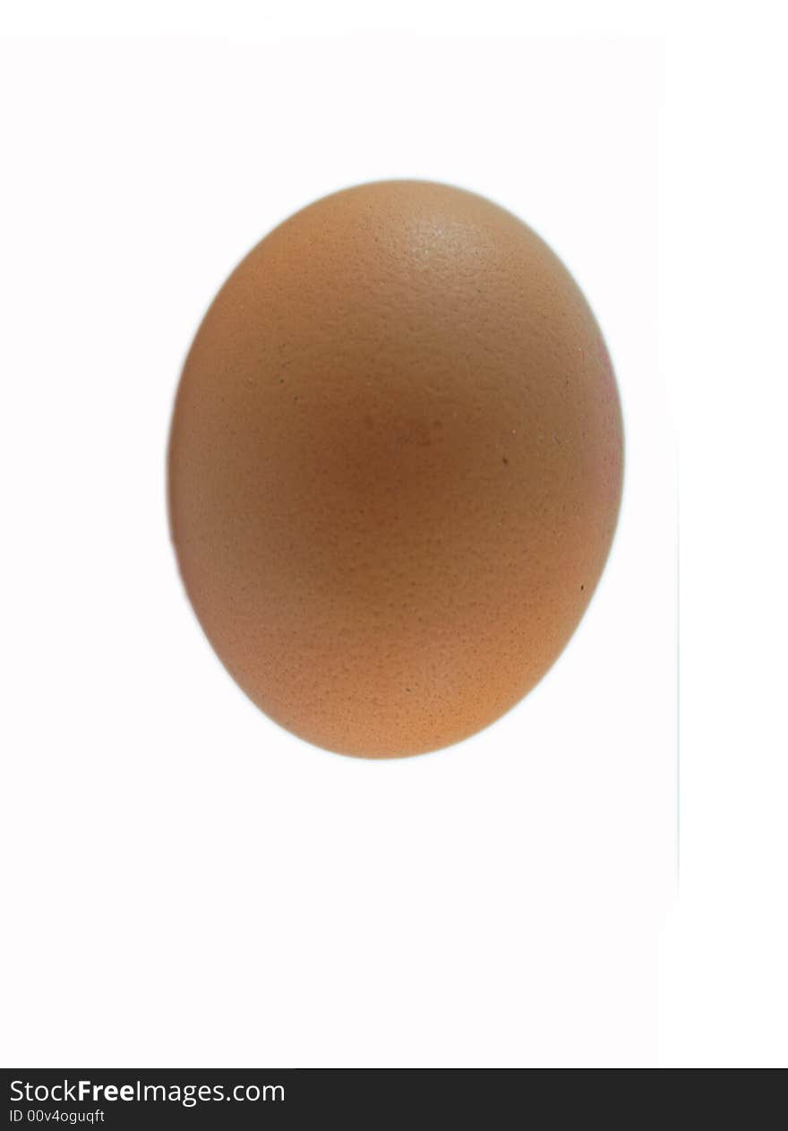 Close-up of an egg on white zone. Close-up of an egg on white zone