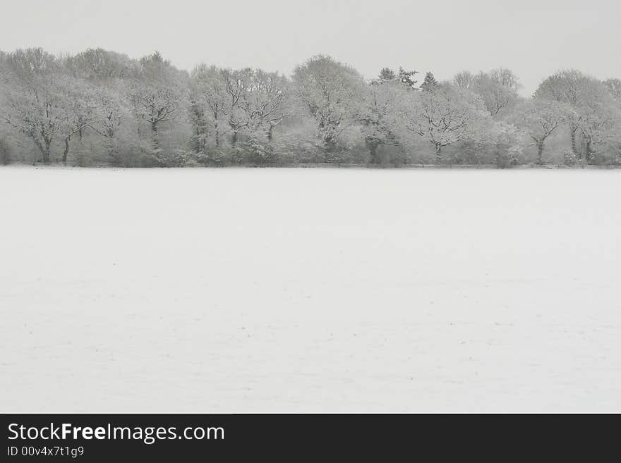 Winter landscape covered in snow