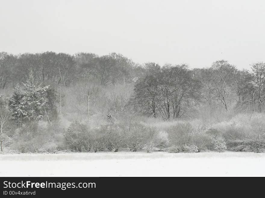 Winter landscape covered in snow