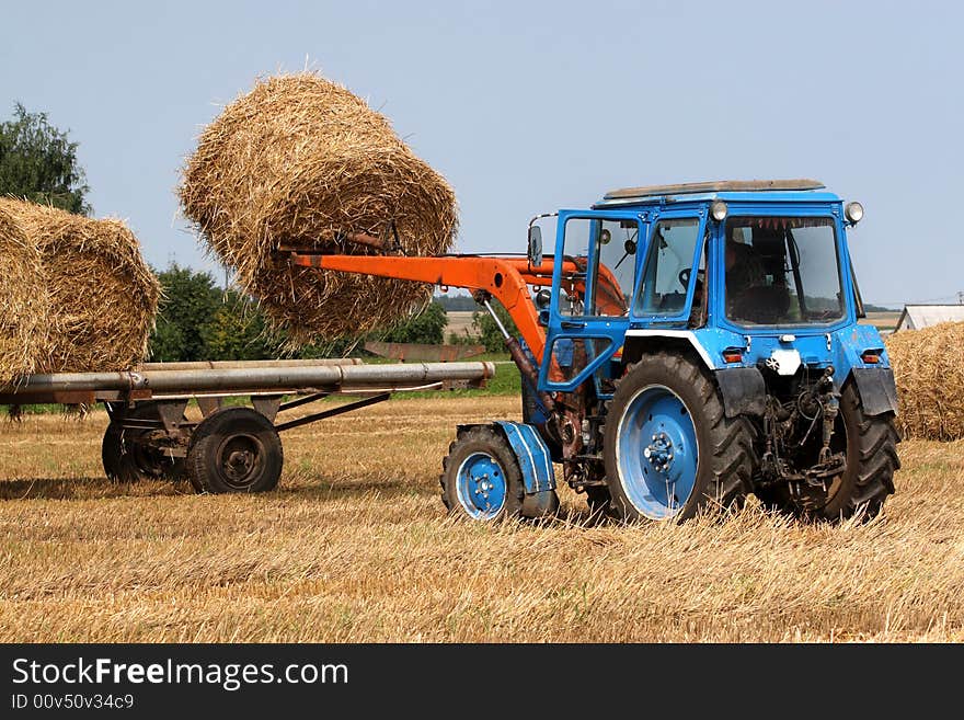 Preparation of hay for the winter a tractor. Preparation of hay for the winter a tractor