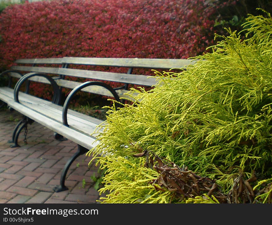 A beautiful seat in the edge of the hudson river