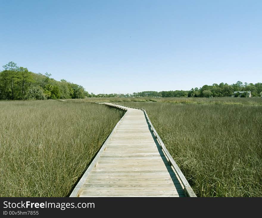 Wooden walkway in georga nature center. Wooden walkway in georga nature center.