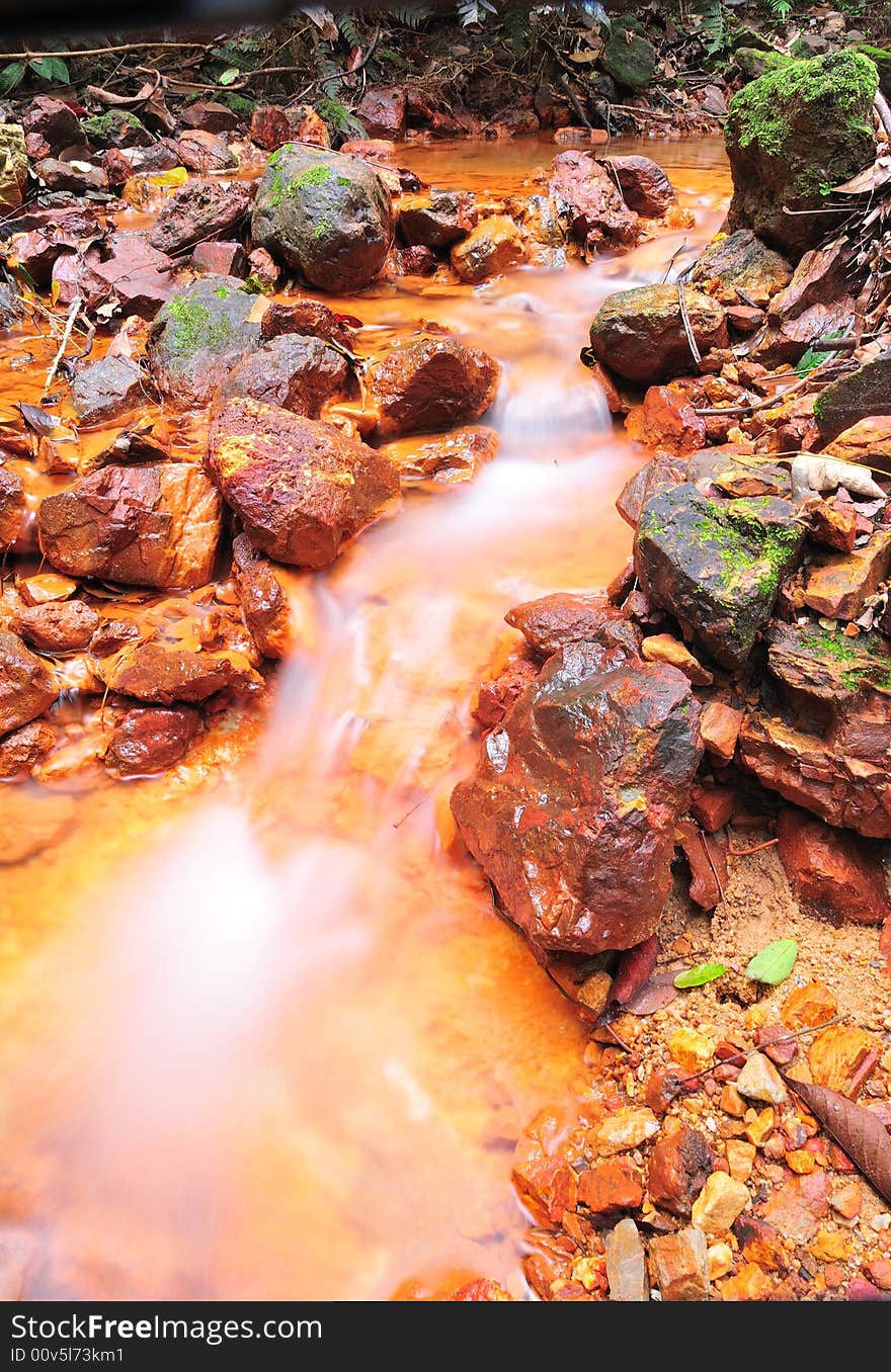 A small stream in the jungle. A small stream in the jungle