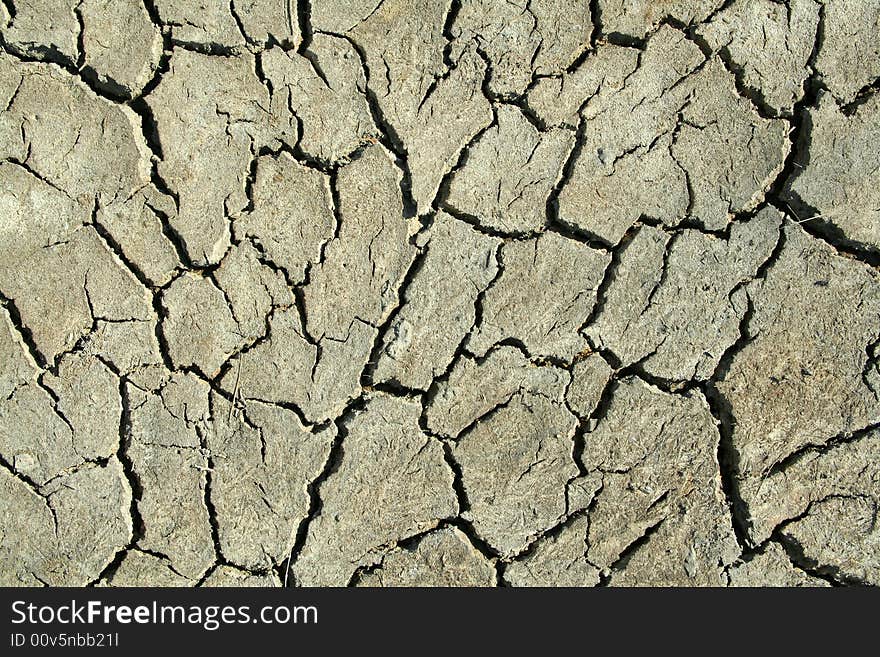 Close up on dry cracked land