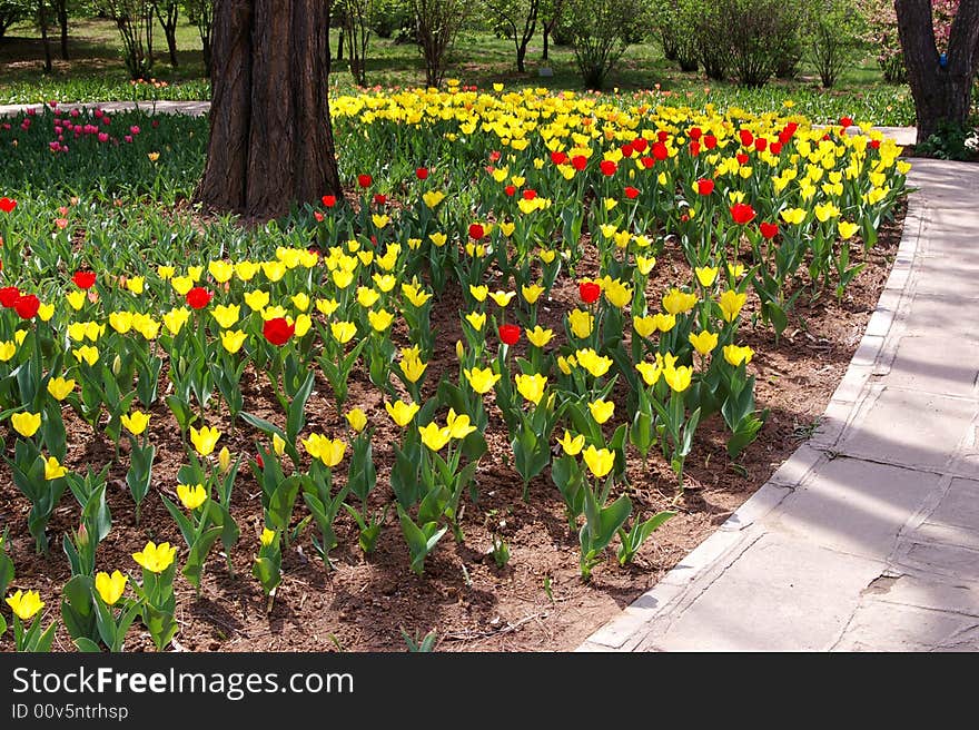 A waft of sweet-smelling fragrance blew over from the flower bush. A waft of sweet-smelling fragrance blew over from the flower bush