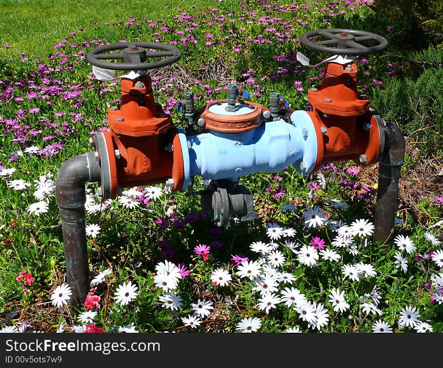 Hydrant and flowers