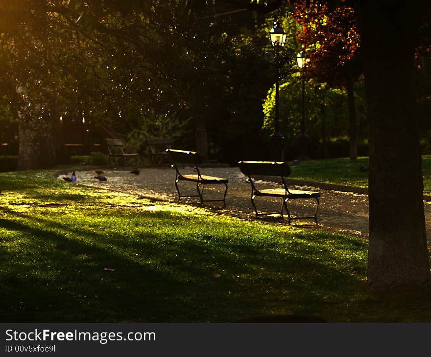 Sunset bench in a city park.